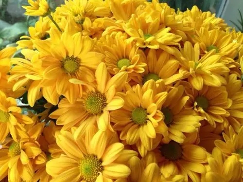 u=4087454079,2195202277&fm=26&fmt=auto.webp.jpg
